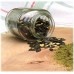 SPRAY FREE NZ PUMPKIN SEEDS 200 Grams Grown In Marton  